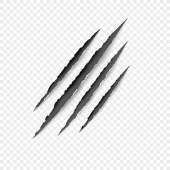 claws scratches - vector isolated on transparent background. claws scratching animal (cat, tiger, li
