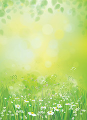 Wall Mural - vector summer nature background.