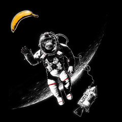 space monkey
