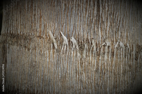 Fotografia, Obraz Painel com base natural para aplicação de design