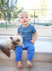 Wall Mural - Cute little boy sitting on window sill with fluffy cat