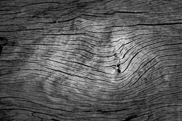 Pattern cracked old wooden background.