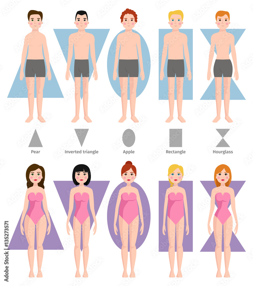 Vector illustration of different body shape types. - obrazy, fototapety, plakaty 