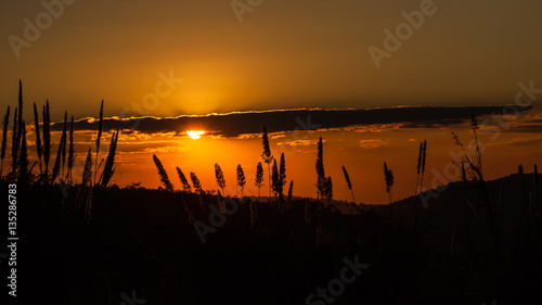 Grass evening sunsets.