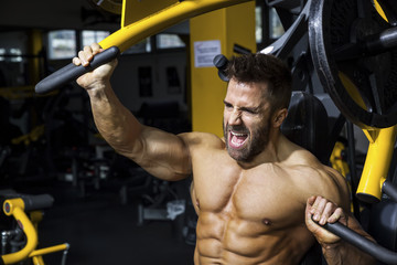 Wall Mural - handsome bearded bodybuilding man