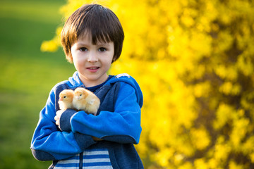 Sweet cute child, preschool boy, playing with little newborn chi