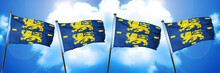 West Friesland Flag, 3D Rendering