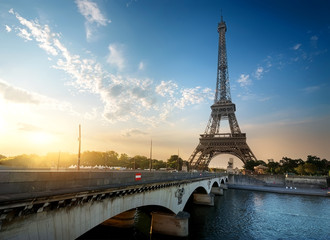 Wall Mural - eiffel tower and bridge