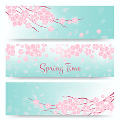 Wall Mural - Blossom sakura or cherry cards. Spring  flowers banners