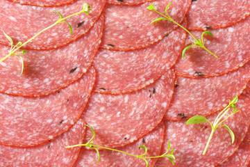 Canvas Print - slices of spicy salami