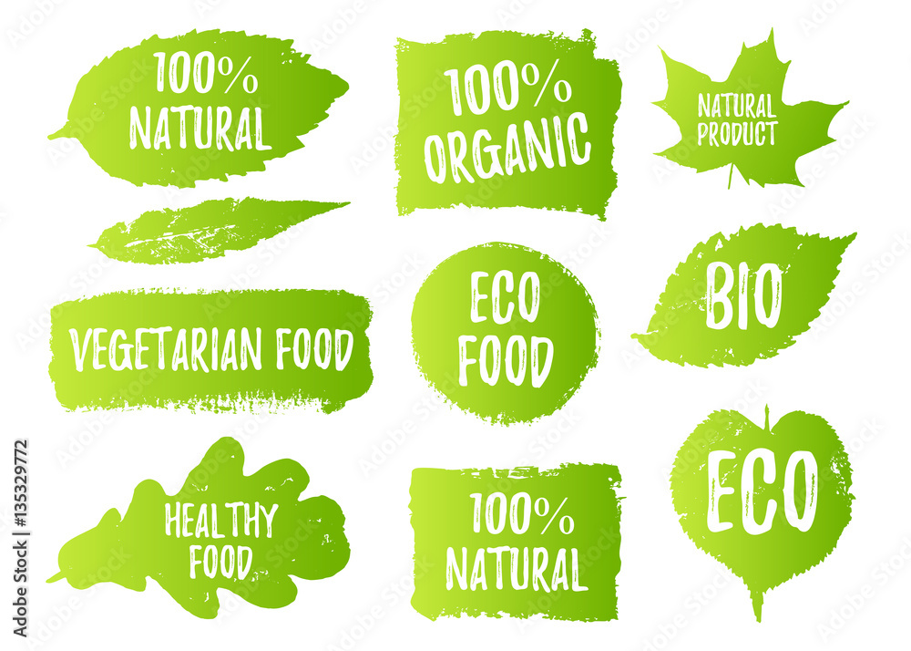 Vector natural, organic food, bio, eco labels and shapes on white background. Hand drawn stains, leaves set. - obrazy, fototapety, plakaty 