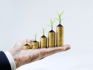 Growing money with tree on businessman hand.business financial