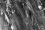 Fototapeta Kwiaty - Black and White marble with high resolution texture and background
