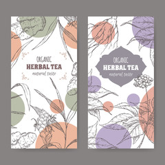 Wall Mural - Two vector herbal tea labels with ginger and ginseng sketch.