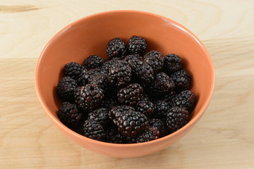 Wall Mural - Fresh raw blackberries in orange bowl