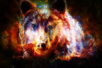 Poster - head of mighty brown bear in space, oil painting on canvas and graphic collage. Eye contact.