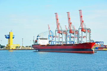 Bulk cargo ship under port crane