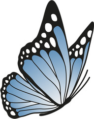 Vector illustration of a blue butterfly