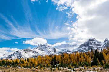 Autumn in the Mountains