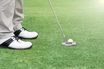 Wall Mural - player put a golf ball on a green