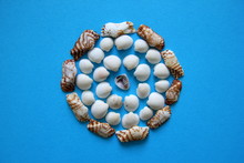 A Lot Of Seashells In The Circle On The Blue Background.