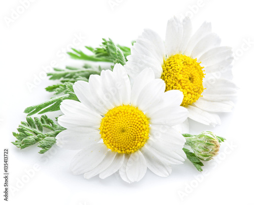 Dekoracja na wymiar  kwiaty-rumianku
