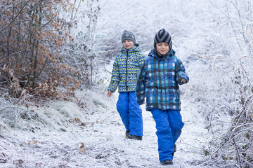 Children walking in forest in winter