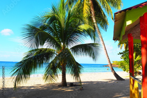 Martinique Anse Figuier Plage Carbet Buy This Stock Photo
