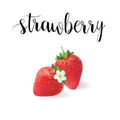 Strawberry realistic vector illustration of beautiful flowers be