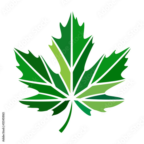 Maple Leaf Logo Vector - Free Vector Download 2020