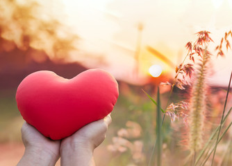 Wall Mural - Hand hold red heart with romantic nature view of grass flower 
