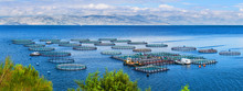 Sea Fish Farm. Cages For Fish Farming Dorado And Seabass. The Workers Feed The Fish A Forage. Seascape Panoramic Photography.
