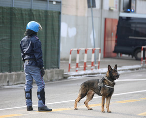 Wall Mural - trained police dog chasing drug dealers and concealed explosives