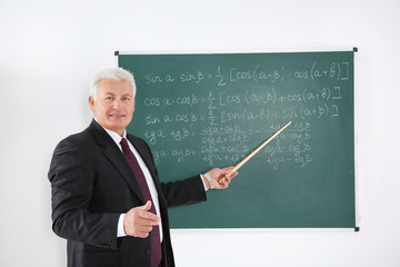 Wall Mural - Senior teacher with pointer explaining lesson beside blackboard on white background