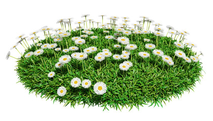 Wall Mural - natural grass arena with flowers