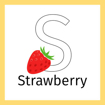 Kids education card with strawberry and outline letter S for coloring, vector illustration