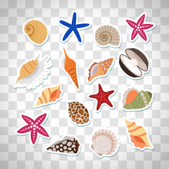 Sea shells cute stickers, vector set on the transparent background