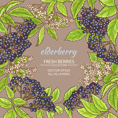 Canvas Print - elderberry vector frame