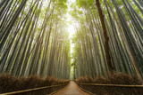 Fototapeta Na drzwi - Arashiyama Bamboo forest in Kyoto, Japan