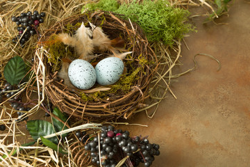 Wall Mural - Springtime border with nest