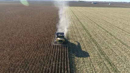 Wall Mural - Aerial footage of farmer in a field at harvest