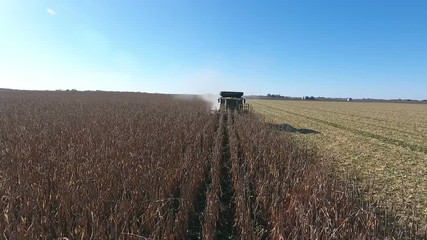 Wall Mural - Aerial footage of farmer in a field at harvest