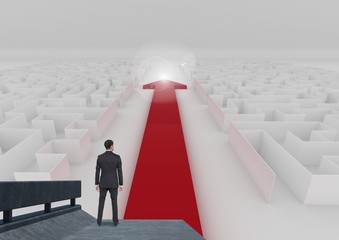 Poster - Rear view of businessman looking at maze