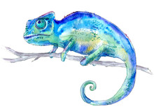 Blue Chameleon On A Branch. Watercolor Hand Drawn Illustration.