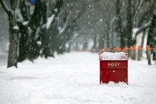 Snow Mailbox