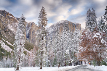 Wall Mural - El Capitan at sunset after a storm clears out of Yosemite Valley in Januray 2017