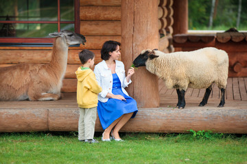 Young woman and her little son feeding a sheep