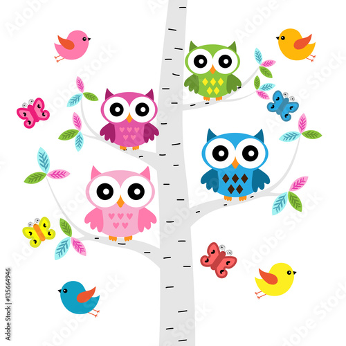 Obraz w ramie Vector set of a colorful owls, birds and butterflies at the tree