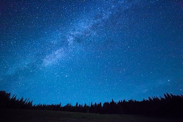 blue dark night sky with many stars above field of trees. yellowstone park. milkyway cosmos backgrou