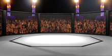 3D Rendered Illustration Of An MMA, Mixed Martial Arts, Fighting Cage Arena.
